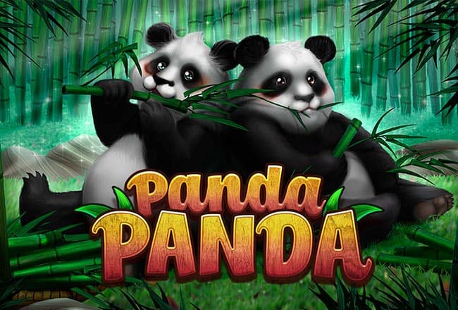 Panda Panda – Habanero